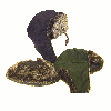 Wax bomber hat