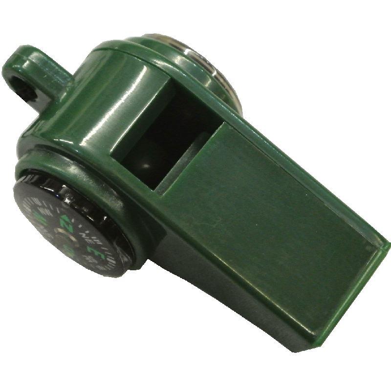 Enlarged image