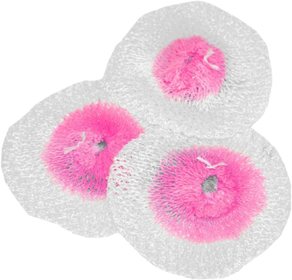 Enlarged image