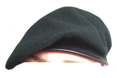 Enlarged image