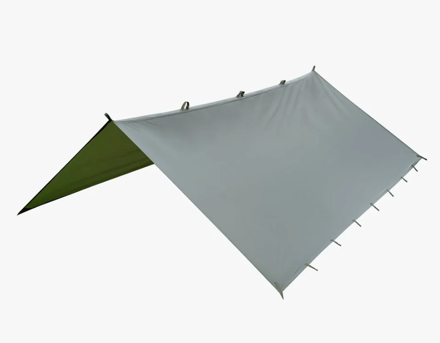 Enlarged image