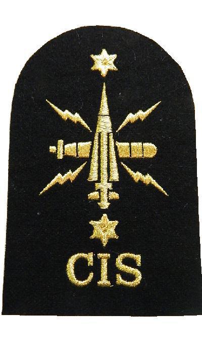 Enlarged image