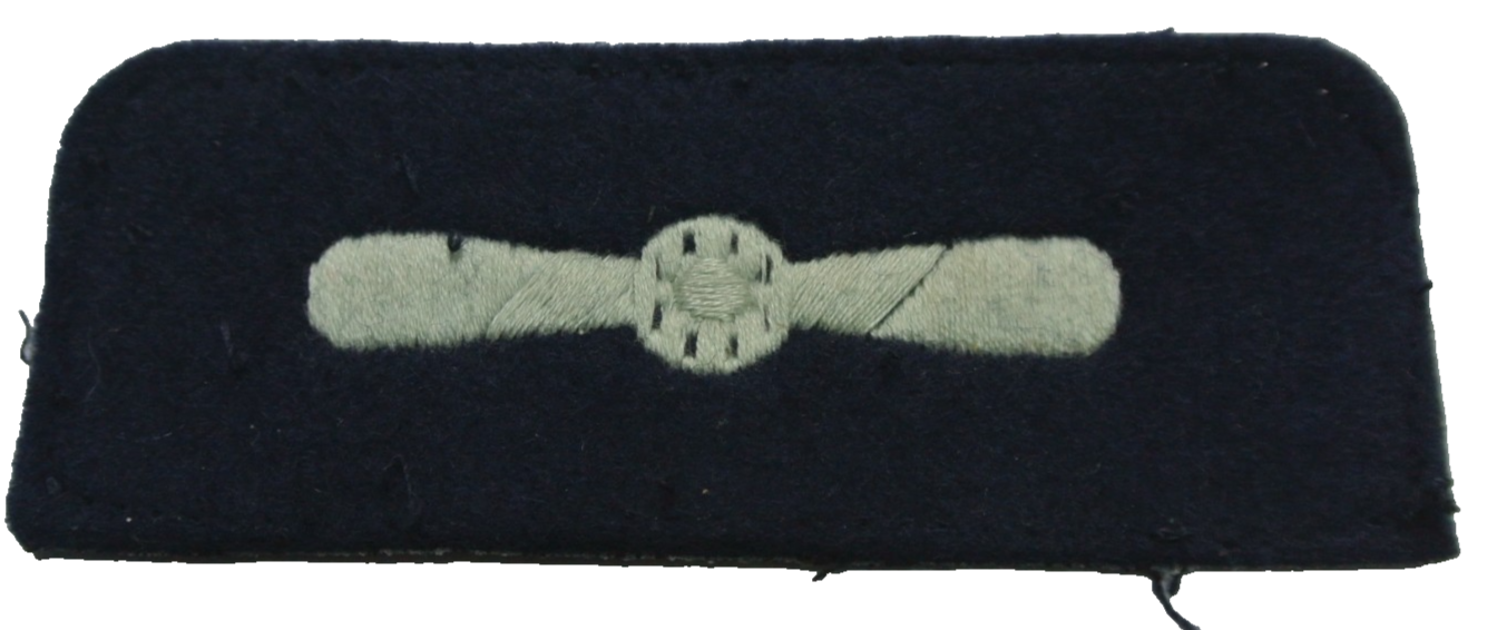 Enlarged image