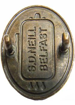 36th Division Ulster Badge - main image