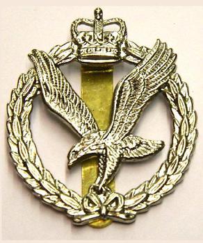 Army Air Corps AAC Cap Badge Various Badges - main image