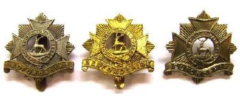 Bedfordshire Regiment Infantry Cap badges