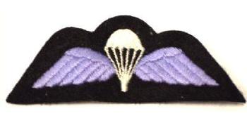 RAF Wings Blue Parachute Trained Blue Wings - main image