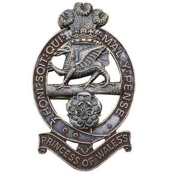Princess Of Wales Royal Regiment (PWRR) - main image