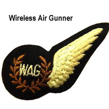 RAF Half Brevet Sew On Wing Brevets - main image