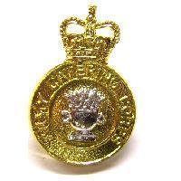 Pair Of Queens Crown Catering Corps Collar Badges - main image