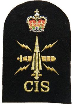CIS Communication Information Systems Naval Badge - main image