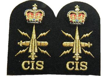 CIS Communication Information Systems Naval Badge - main image