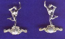 Collar Badges of the Royal Signals Staybrite Royal Signal Collars