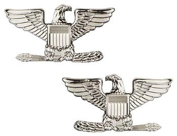 US Collar Badge - Colonel Rank Pair Left And Right Facing - main image