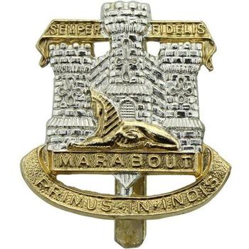 Devon And Dorset Regiment Cap Badge Various Styles - main image