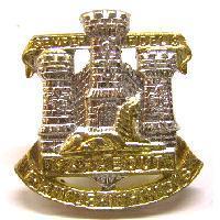 Devon and Dorset regiment single staybright collar badge