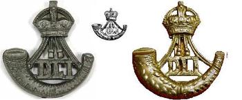 DLI Durham Light Infantry Cap / Beret Badges