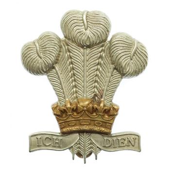 Royal Regiment Of Wales Cap Badge - main image
