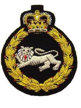 Gold Wire Blazer Badge Of The Kings Own Border Regiment - main image