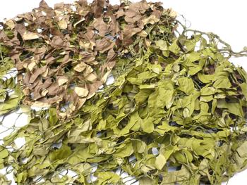 Camo Net Genuine Army Issue Marsh Moorland 4 Colour Camo Netting, New - main image