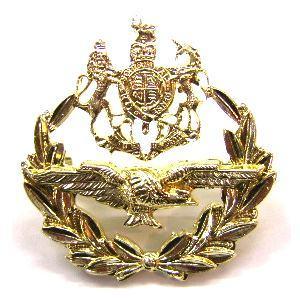 RAF Master Air Crew Staybright Cap Badge - main image