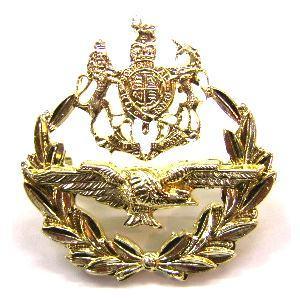 RAF Master Air crew Staybright Cap badge