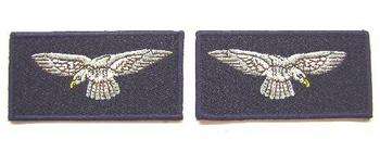RAF Uniform Pair Of Shoulder Eagles - main image