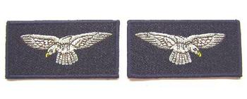 RAF Uniform pair of shoulder Eagles