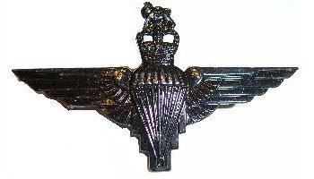 New Factory Blackened Queens Crown Parachute Regiment Cap badge