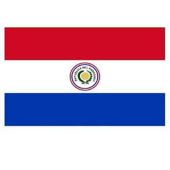 5ft x 3ft Paraguay flag