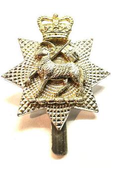 Queens Royal Surrey Regiment Cap Badge - main image