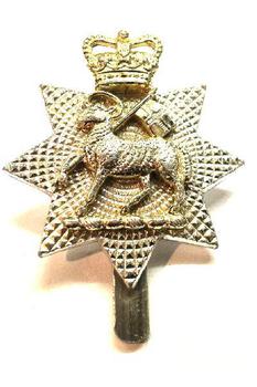 Queens Royal Surrey Regiment Cap badge