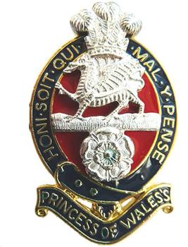 Princess Of Wales Royal Regiment (PWRR) - main image