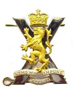 Royal Regiment of Scotland Cap badge New / used Military Issue