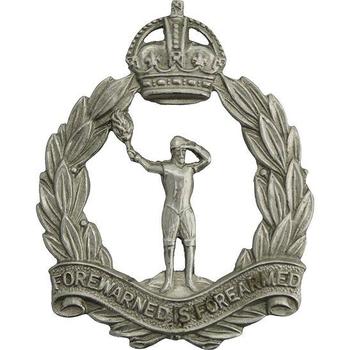 The Royal Observer Corps Cap Badge (ROC) - main image