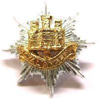 Single Royal Anglian Staybright collar badge