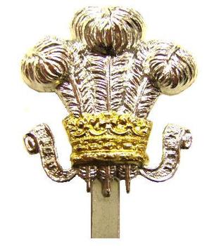 New Unissued Staybrite Cap Badge For The Royal Wiltshire Yeomanry - main image