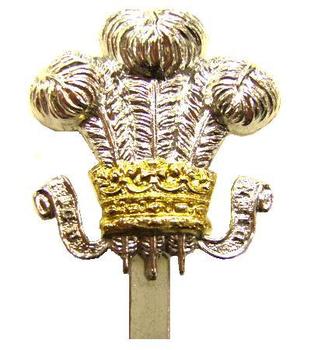 New Unissued Staybrite Cap Badge for the Royal Wiltshire Yeomanry