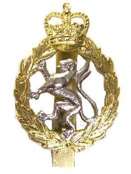 Staybrite Cap Badge to the Women's Royal Army Corps