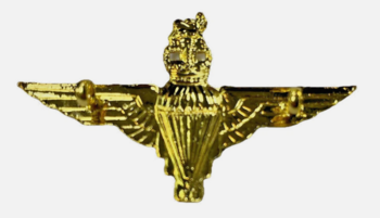 Parachute Para Regiment Cap Badges - main image