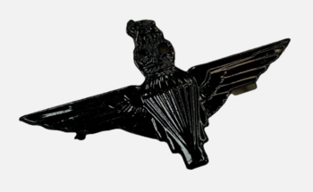 Parachute Para Regiment Cap Badges - main image