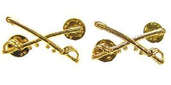 Pair Of Gold Colour US Army Cavalry Collars - main image
