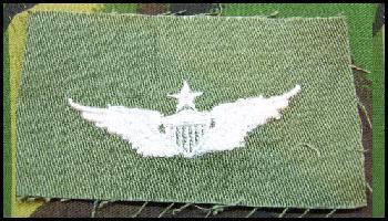 USAF Cloth Sew on Badge