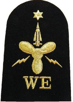 WE Weapons Engineering Royal Navy Badges - main image
