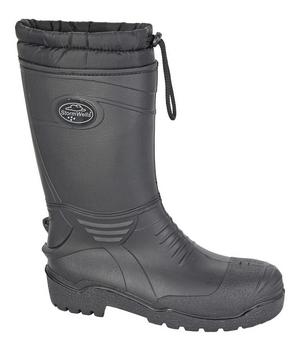 thermal lined polar boot - main image