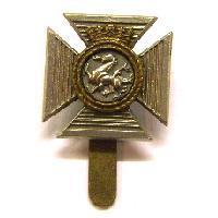 The duke of Edinburghs Royal Regiment cap badge