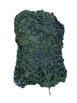 Swedish Barracuda Camo Net Genuine Army Issue Barracuda Green / Black Camouflage Netting - main image