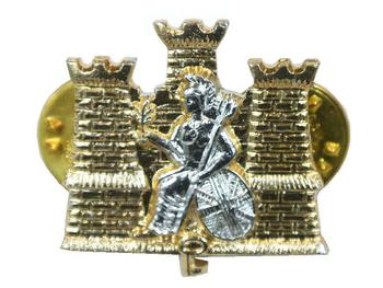 Royal Anglian Collar badge (pair)