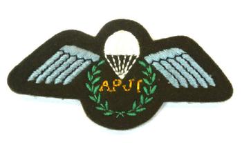 APJI cloth sew on badge