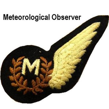RAF Half Brevet Sew On Wing Brevets - main image